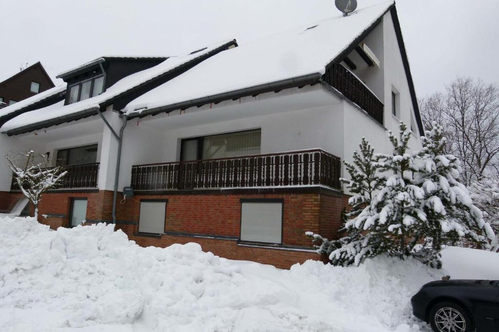 Apartment Anke Braunlage Eksteriør bilde